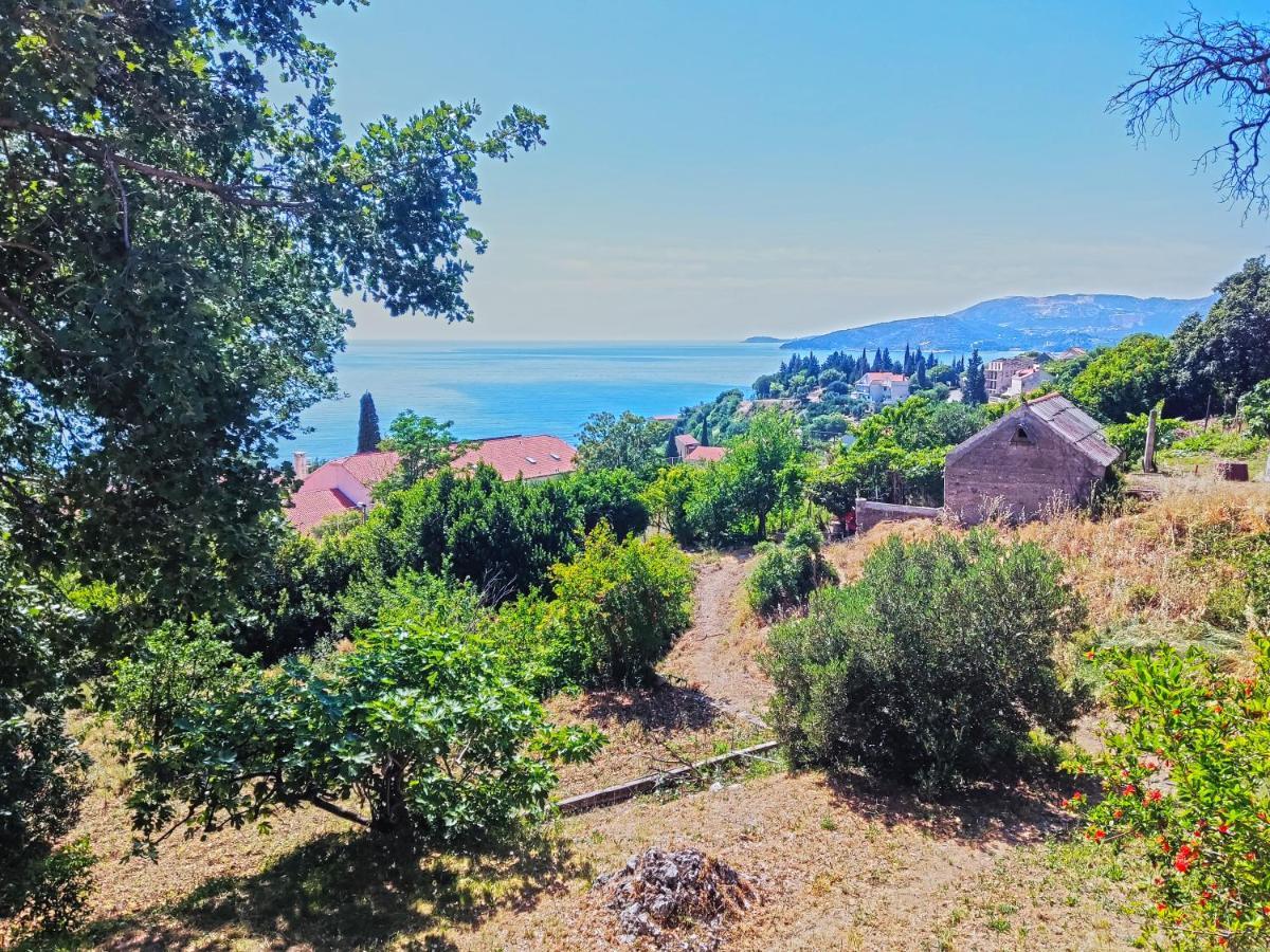 Dubrovnik Moonshine Apartment Mlini Dış mekan fotoğraf