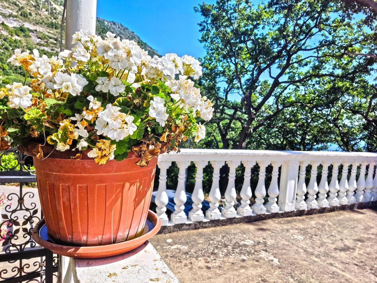 Dubrovnik Moonshine Apartment Mlini Dış mekan fotoğraf