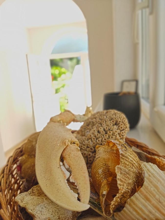 Dubrovnik Moonshine Apartment Mlini Dış mekan fotoğraf
