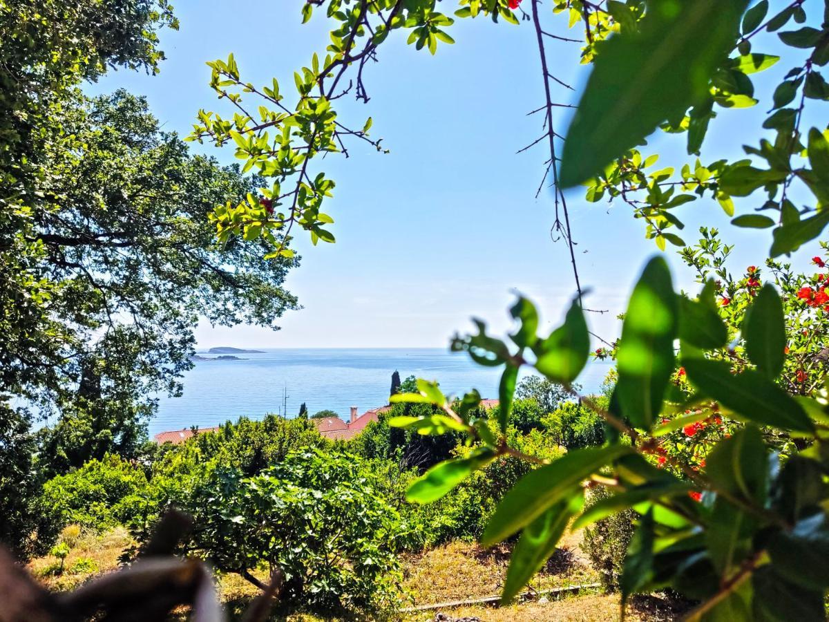 Dubrovnik Moonshine Apartment Mlini Dış mekan fotoğraf