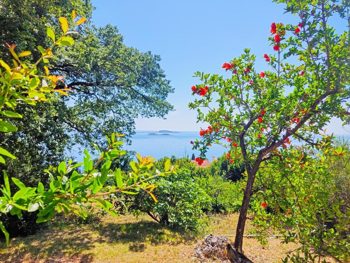 Dubrovnik Moonshine Apartment Mlini Dış mekan fotoğraf